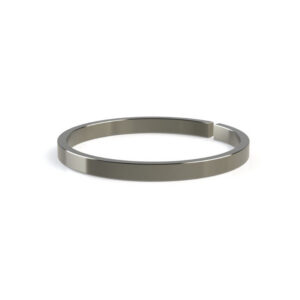 Retainer Ring, Check Valve, FLOW® Compatible